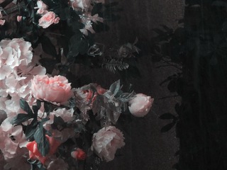 1225848