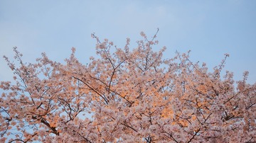 DSC01744-1