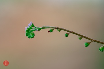 597140