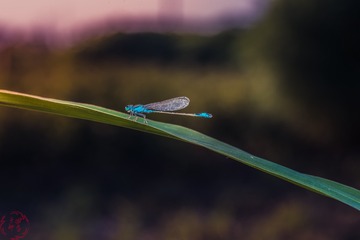 180481