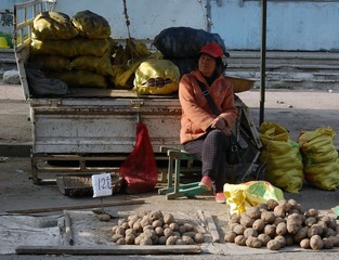 DSC_0821_
