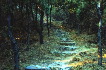 QJW_3553