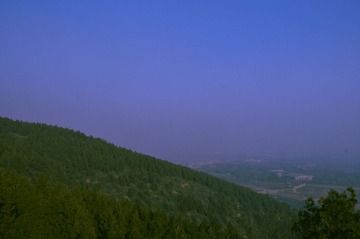 QJW_3555