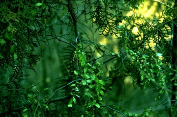 QJW_3557