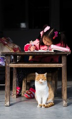 篱笆女孩和猫！
