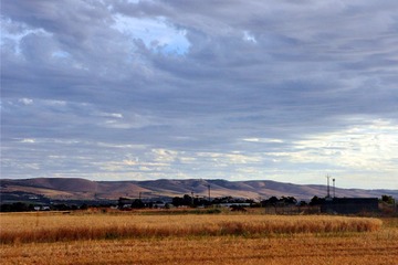 dsc_1323_
