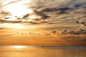 dsc_1368_