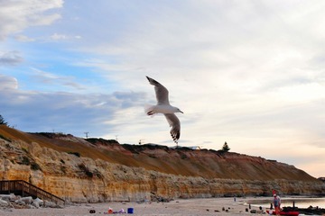 dsc_1369_