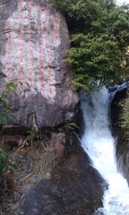 IMAG4491