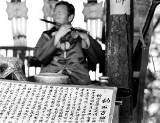 丽江 (06)