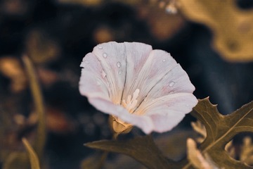 6730