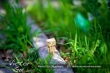 _DSC1208
