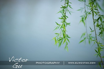 _DSC1395