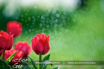 _DSC1470