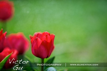 _DSC1473