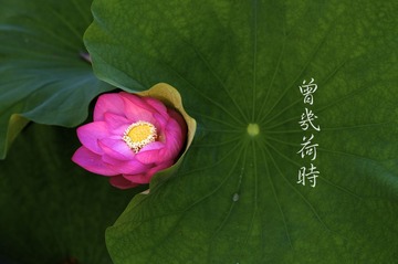 _GWT5578