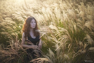 _GWT7137