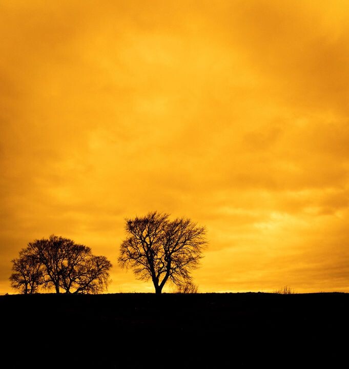 <a href="https://tuchong.com/14632484/" target="_blank">@Edinburgh</a><br />
