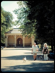 Saltaire 所樂者