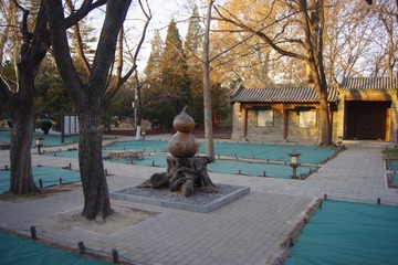 克紐尼博物館