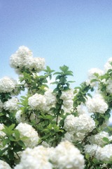 CAD3C749-847C-4B3F-A23D-2B9FAF5B2C39/L0/001