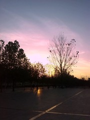 2013-11-25_16-39-00_67170_org-8