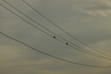 338418