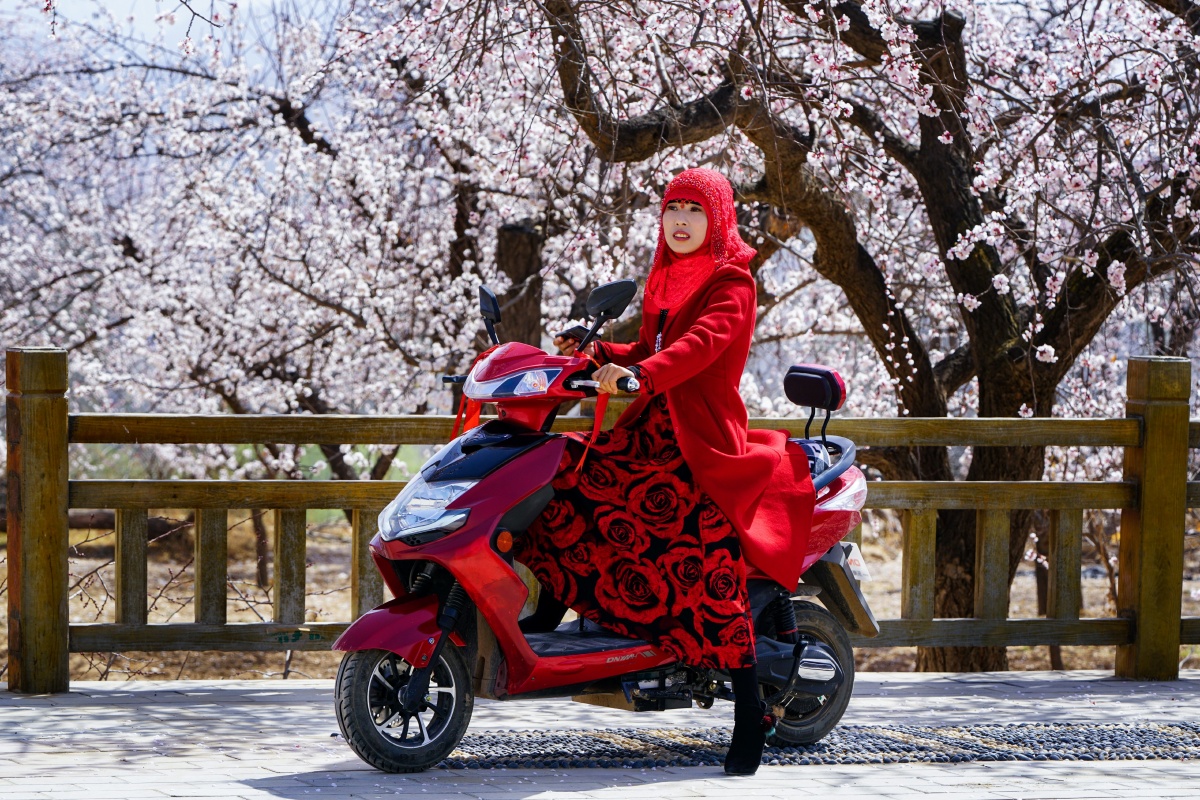 春满梨园美丽的东乡族姑娘