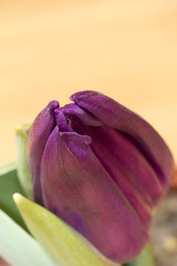 DSC03586_1