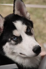 IMG_9777.JPG