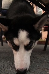 IMG_9789.JPG