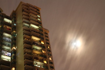 IMG_9939.JPG