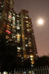 IMG_9942.JPG