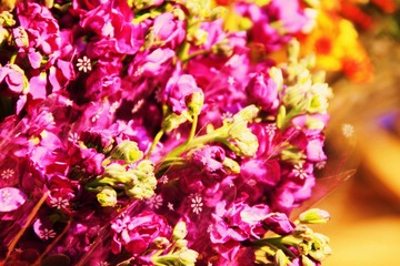 EOS7D SIGMA18-250mm（11）也只有这一部机一个头= =