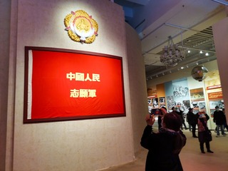 喂猫