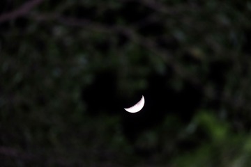 C8895C24-1FE5-45BD-8C77-908770612D7D/L0/001