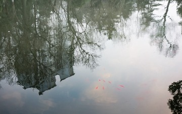 DSC04685-1-2