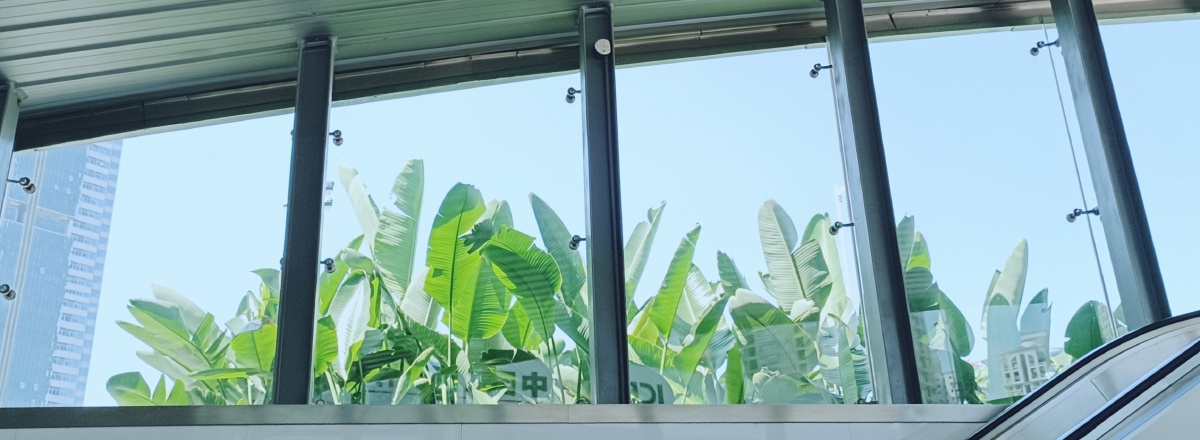 地铁站窗户外好漂亮