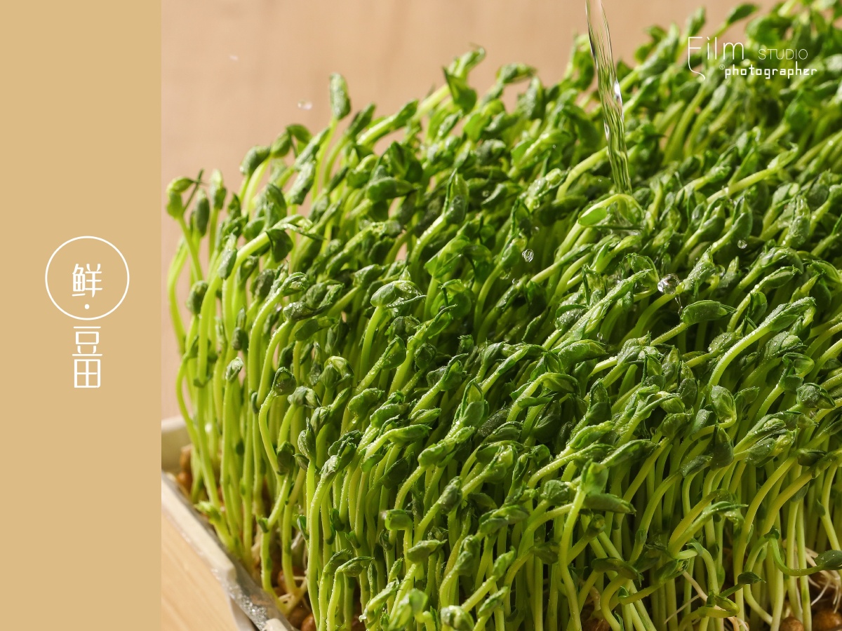 鲜·豆苗