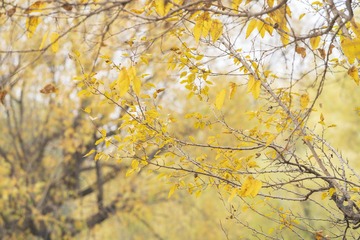 _DSC3344