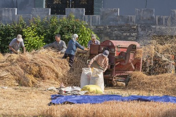 _DSC0671