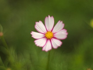 380456