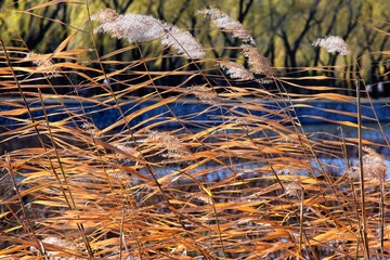 DSCF0214