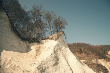 DSC00178 1