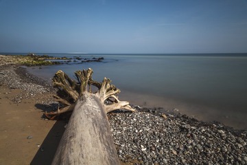 DSC00050 1