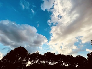 41B91C8D-C311-4F0F-9036-9F129045D071/L0/001