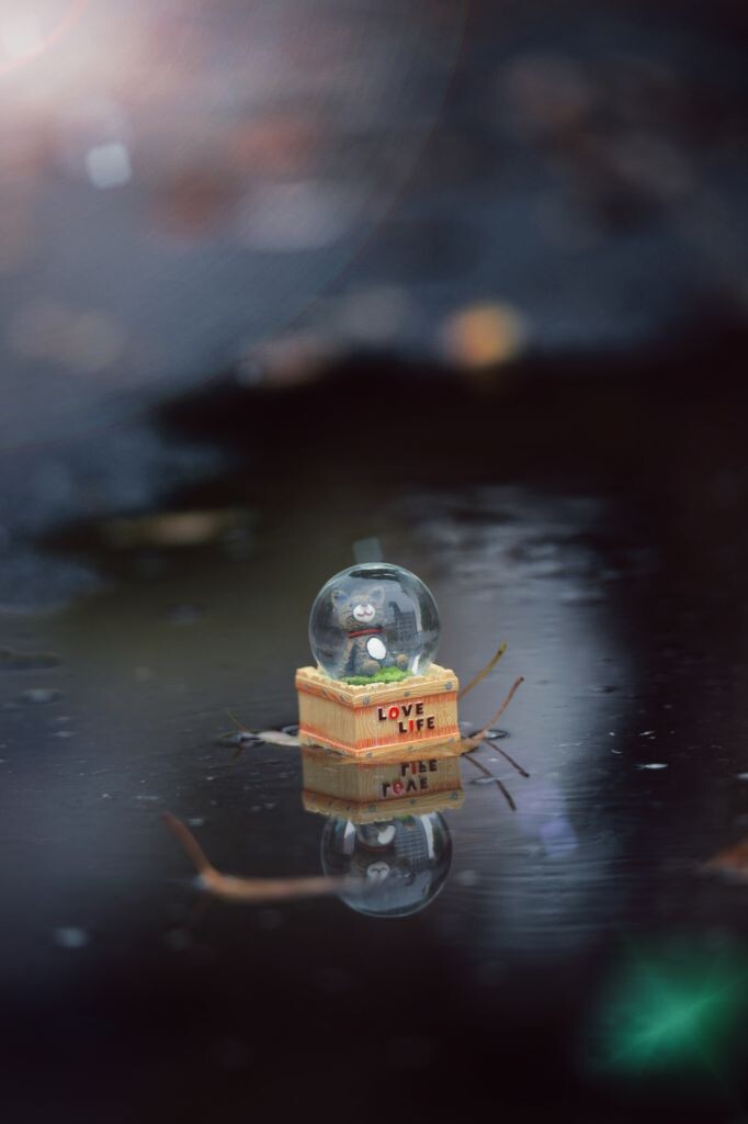 我隔着透明的窗<br />
凝望落在雨中的世界