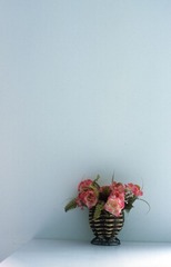 IMG-5000-66608-135