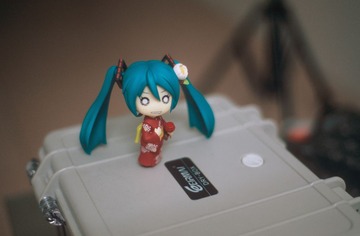 IMG-5000-66615-135