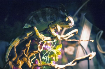 IMG-5000-66618-135